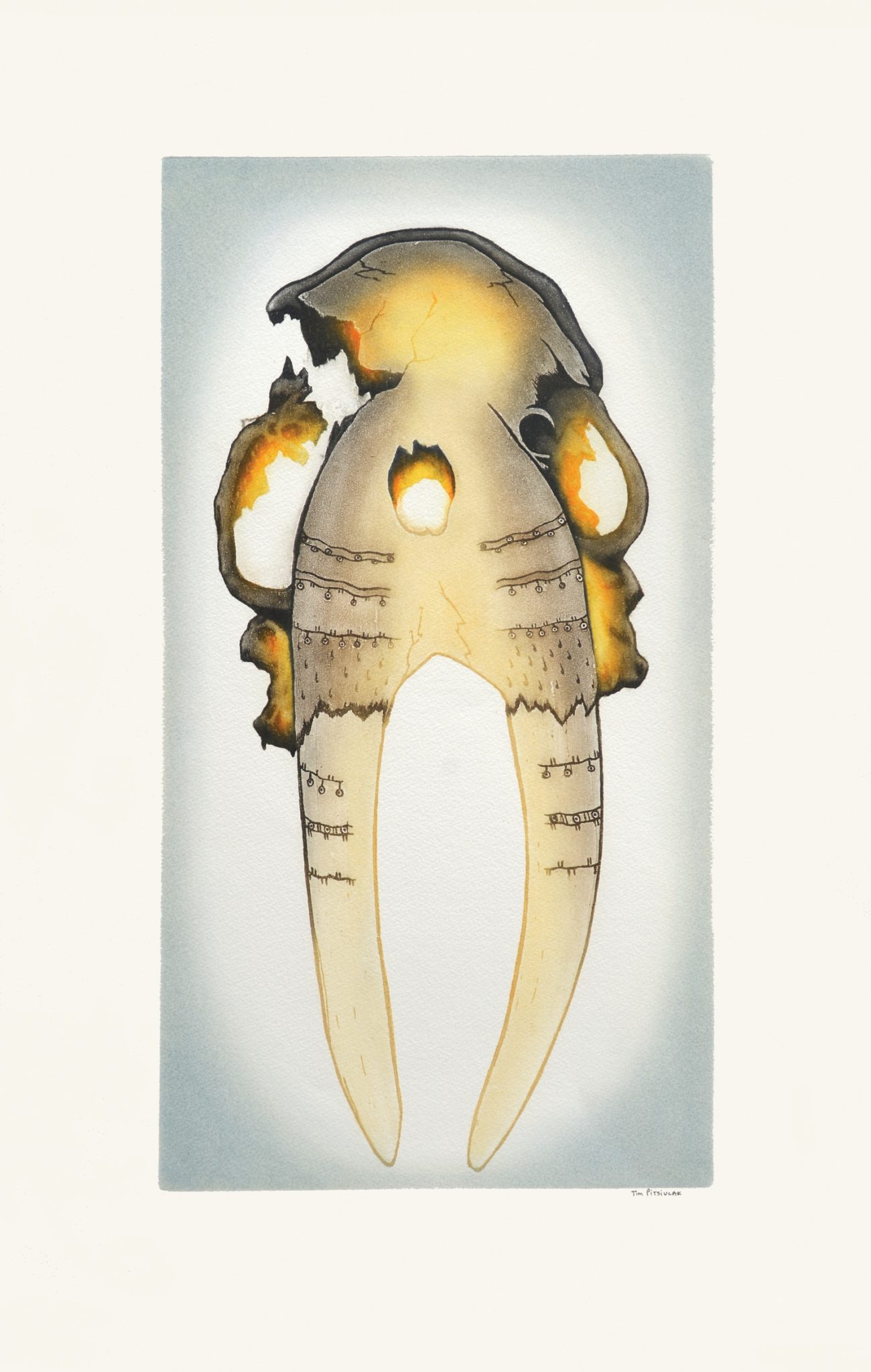 Tim Pitsiulak Ancient Walrus Skull Etching & Aquatint Cape Dorset Print Collection 2016 650