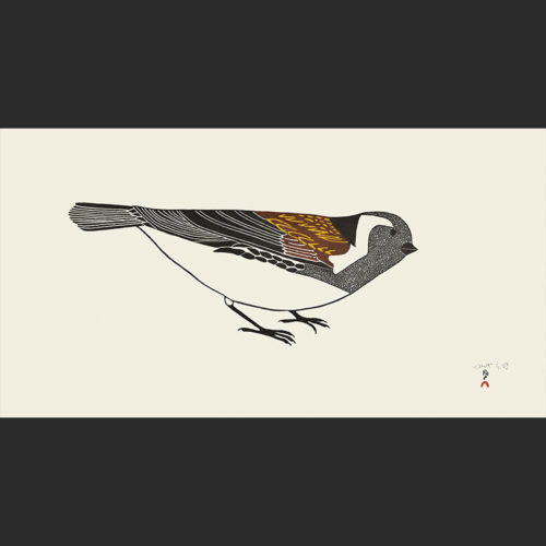 Pauojoungie Saggiai Timmiaralaaq Little Bird cape dorset print collection 2016 360