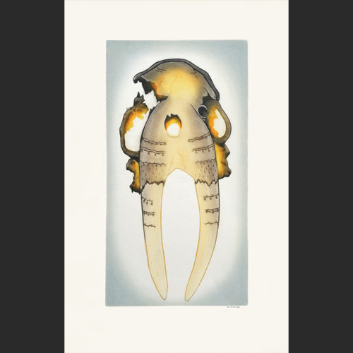 Tim Pitsiulak Ancient Walrus Skull Etching & Aquatint Cape Dorset Print Collection 2016 650