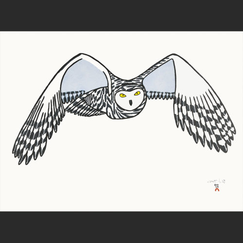 Pauojoungie Saggiai Watchful Eyes cape dorset print collection 2016 owl $440