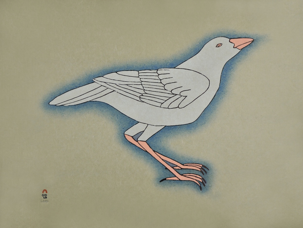 white raven Qavavau Manumie White Raven Cape Dorset Print Collection 2015 Stonecut & Stencil 18 ½" x 24" $700