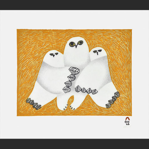 Cuddle Cape Dorset Print Collection 2015 Artist: Ningeokuluk Teevee Medium: Stonecut & Stencil Paper: Handmade Washi Kizuki Kozo White Printer: Tapaungai Niviaqsi Size: 11 x 13 inches (28 x 32.5 cm) Price: $500