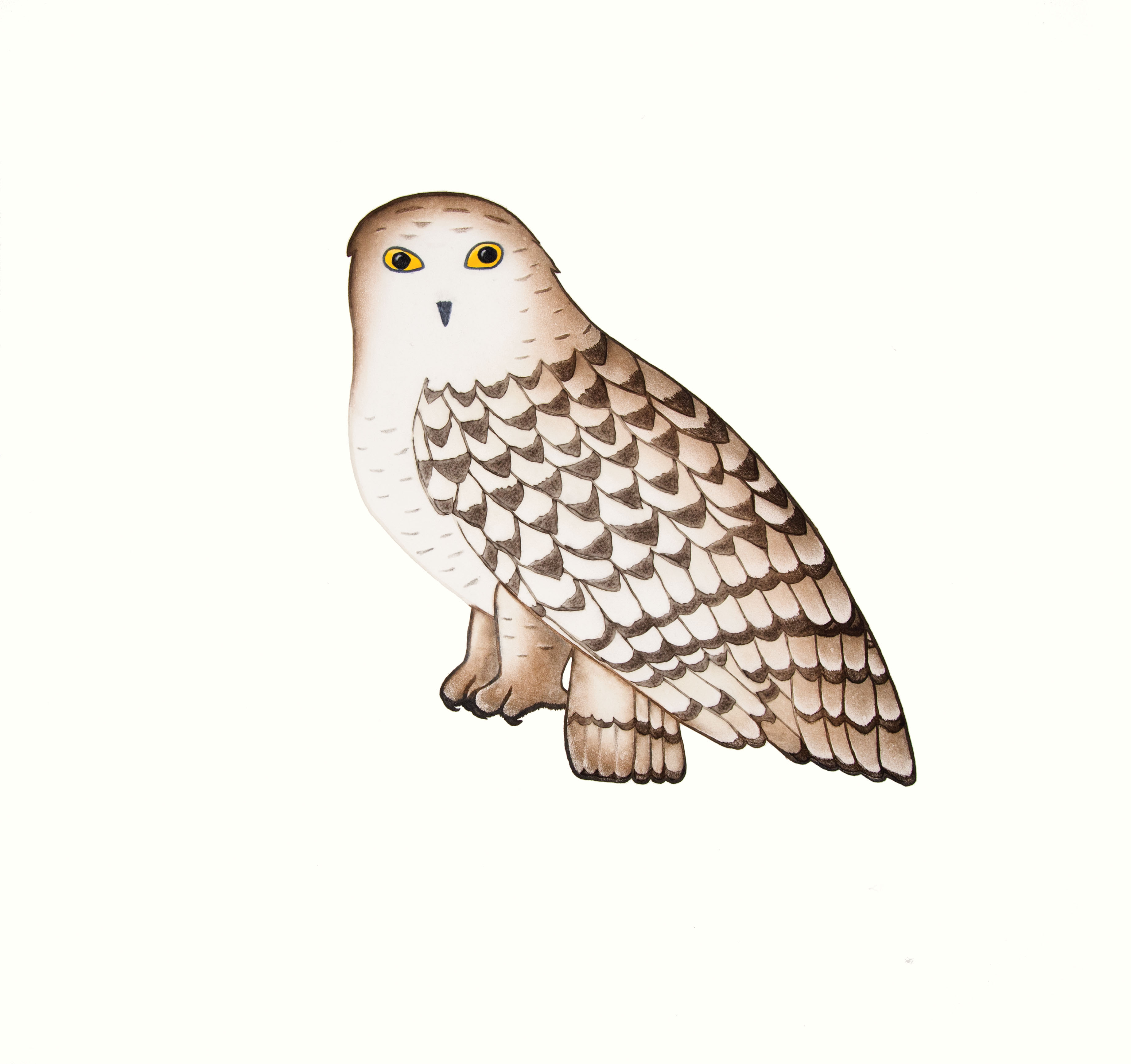 PAUOJOUNGIE SAGGIAK Noble Owl Etching, Aquatint & Hand Painting Printer: Studio PM 67 x 69.5 cm; 26 1/2 x 27 1/2 in. $560 US