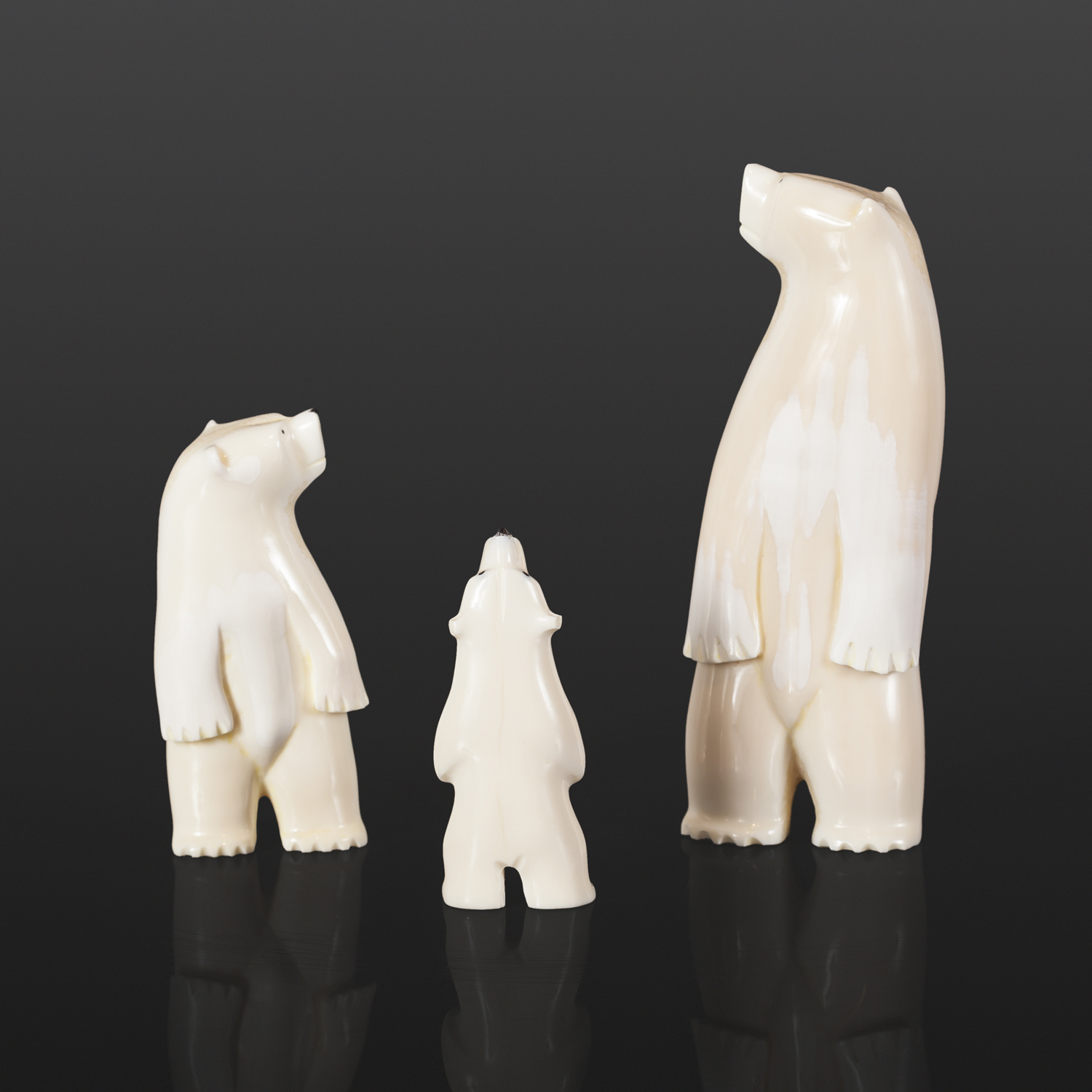 Polar Bear Family 