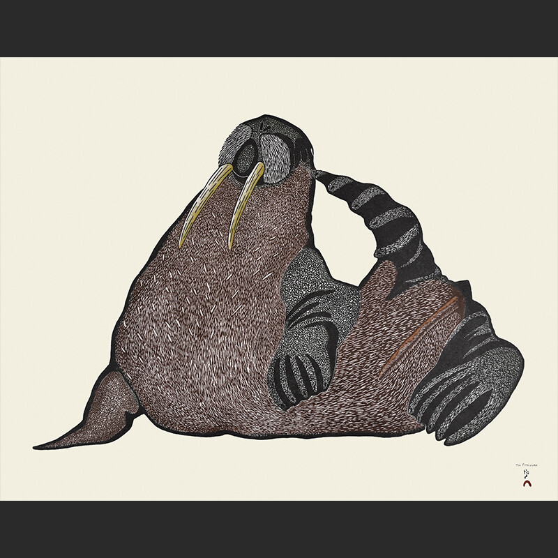 Tim Pitsiulak Scratching Walrus Stonecut & Stencil Cape Dorset Print Collection $640